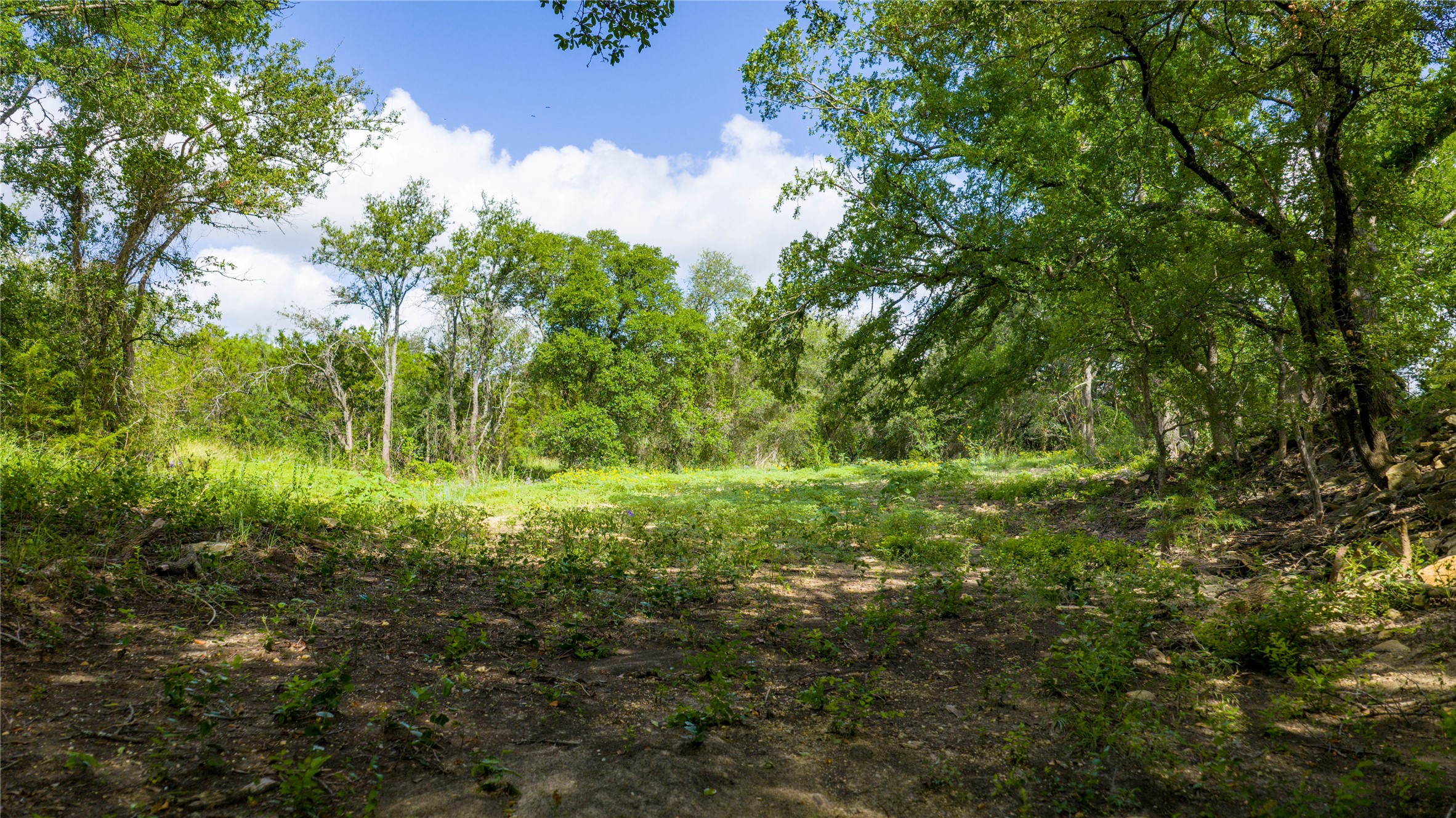 0 County Road 180 Road Purmela, TX 76566 - Photo 13 of 24 a view of outdoor area with green space