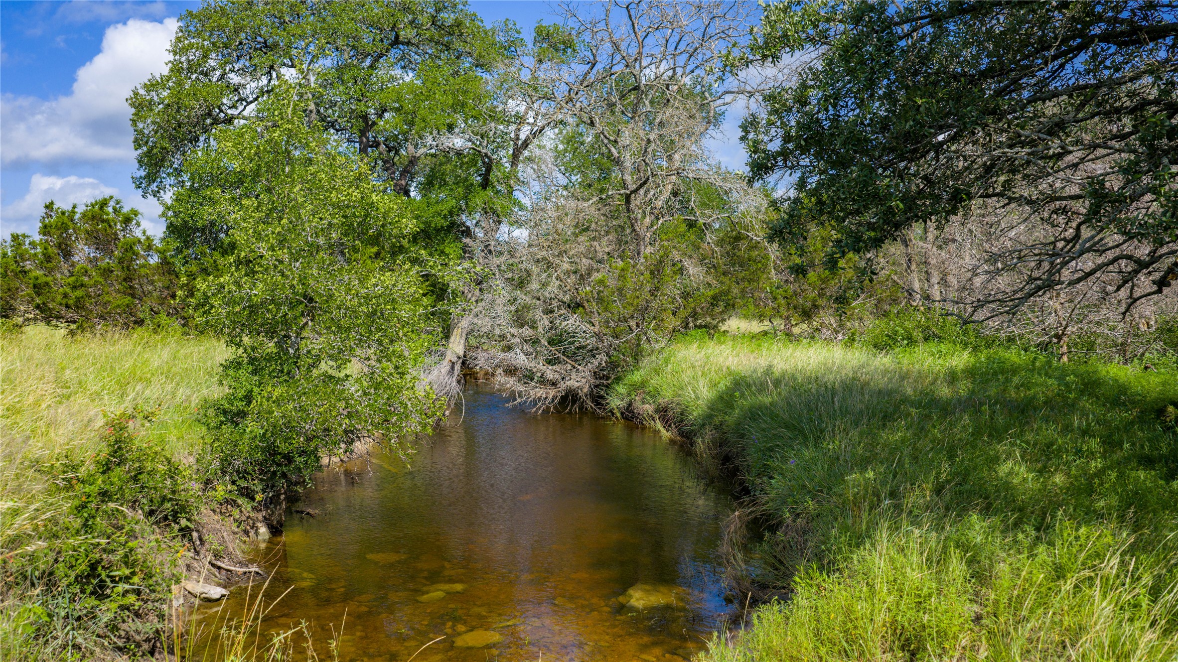 0 County Road 180 Road Purmela, TX 76566 - Photo 16 of 24 a view of lake with green space