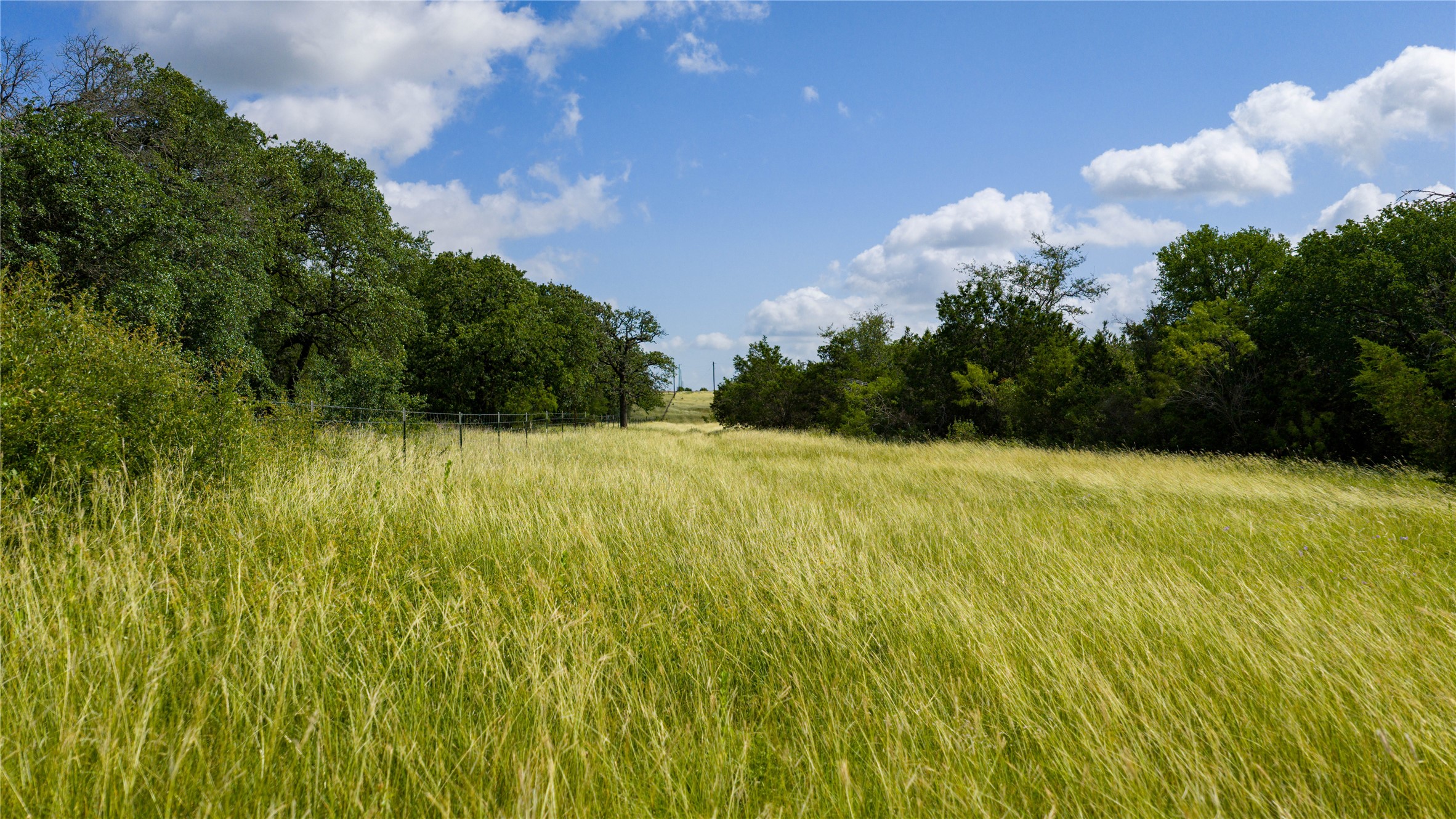 0 County Road 180 Road Purmela, TX 76566 - Photo 4 of 24 a view of a garden