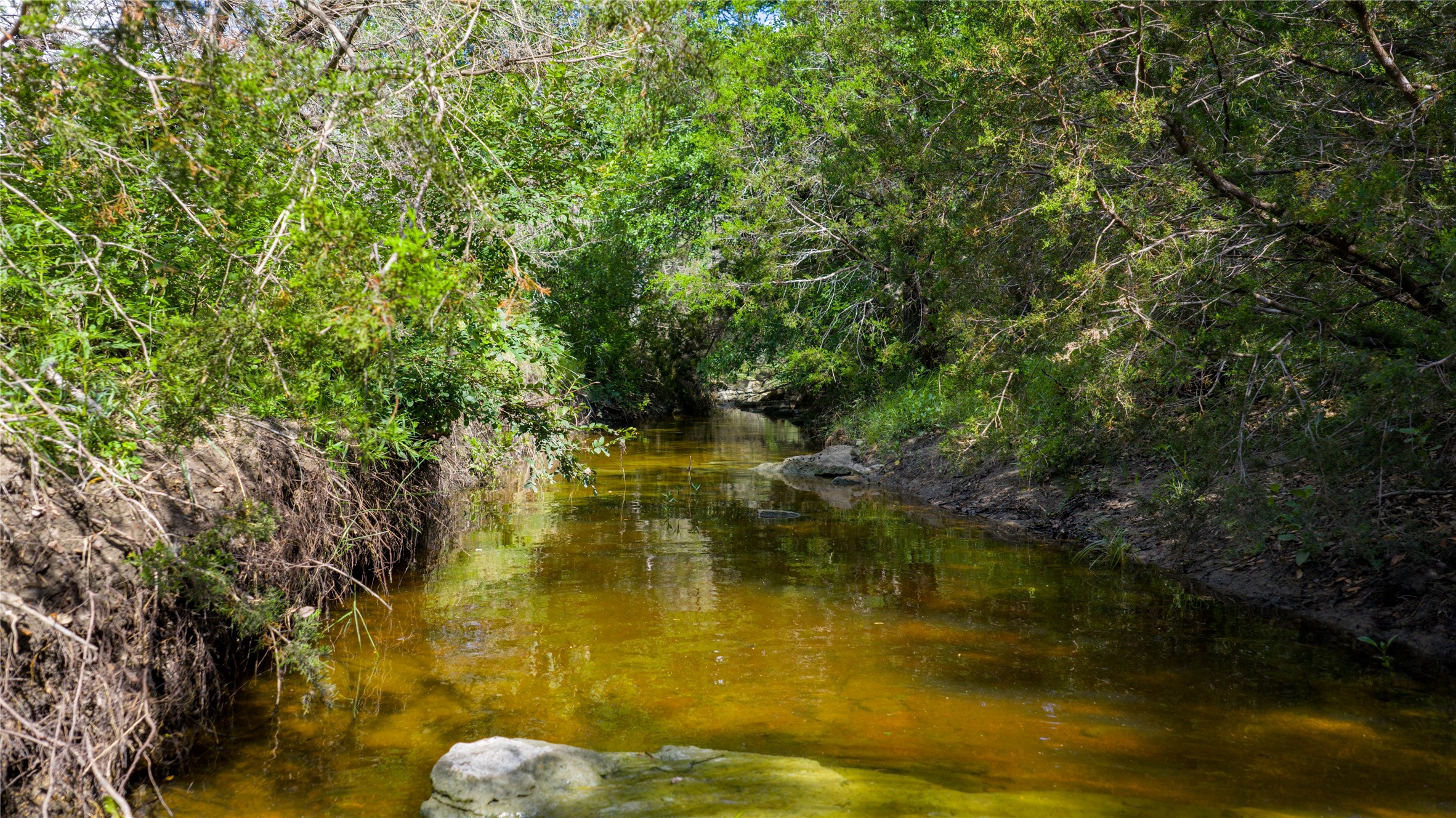 0 County Road 180 Road Purmela, TX 76566 - Photo 5 of 24 a view of a lake view