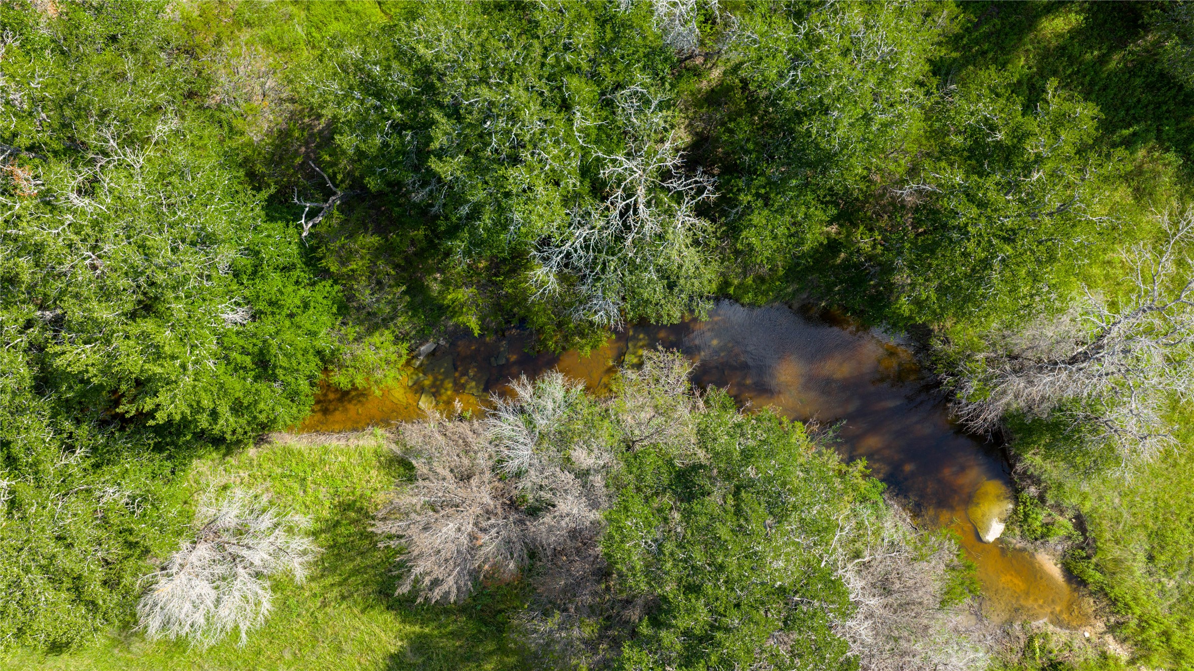 0 County Road 180 Road Purmela, TX 76566 - Photo 7 of 24 a backyard of a house with lots of green space and trees all around