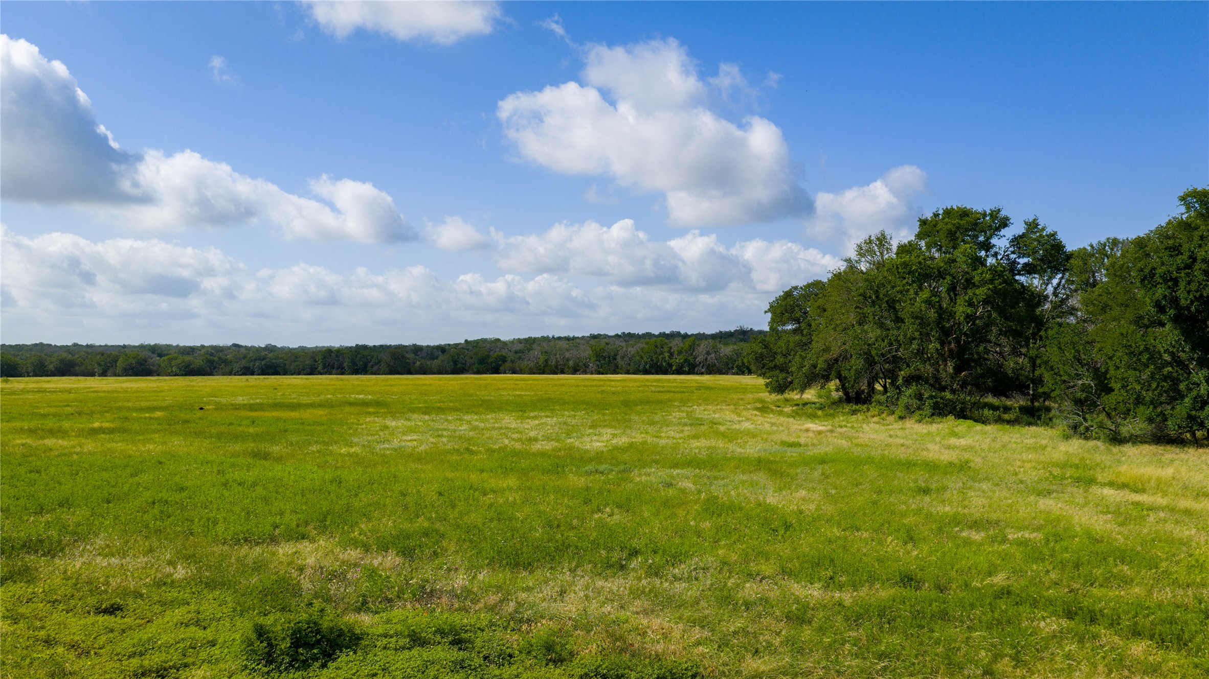 0 County Road 180 Road Purmela, TX 76566 - Photo 8 of 24 a view of an ocean