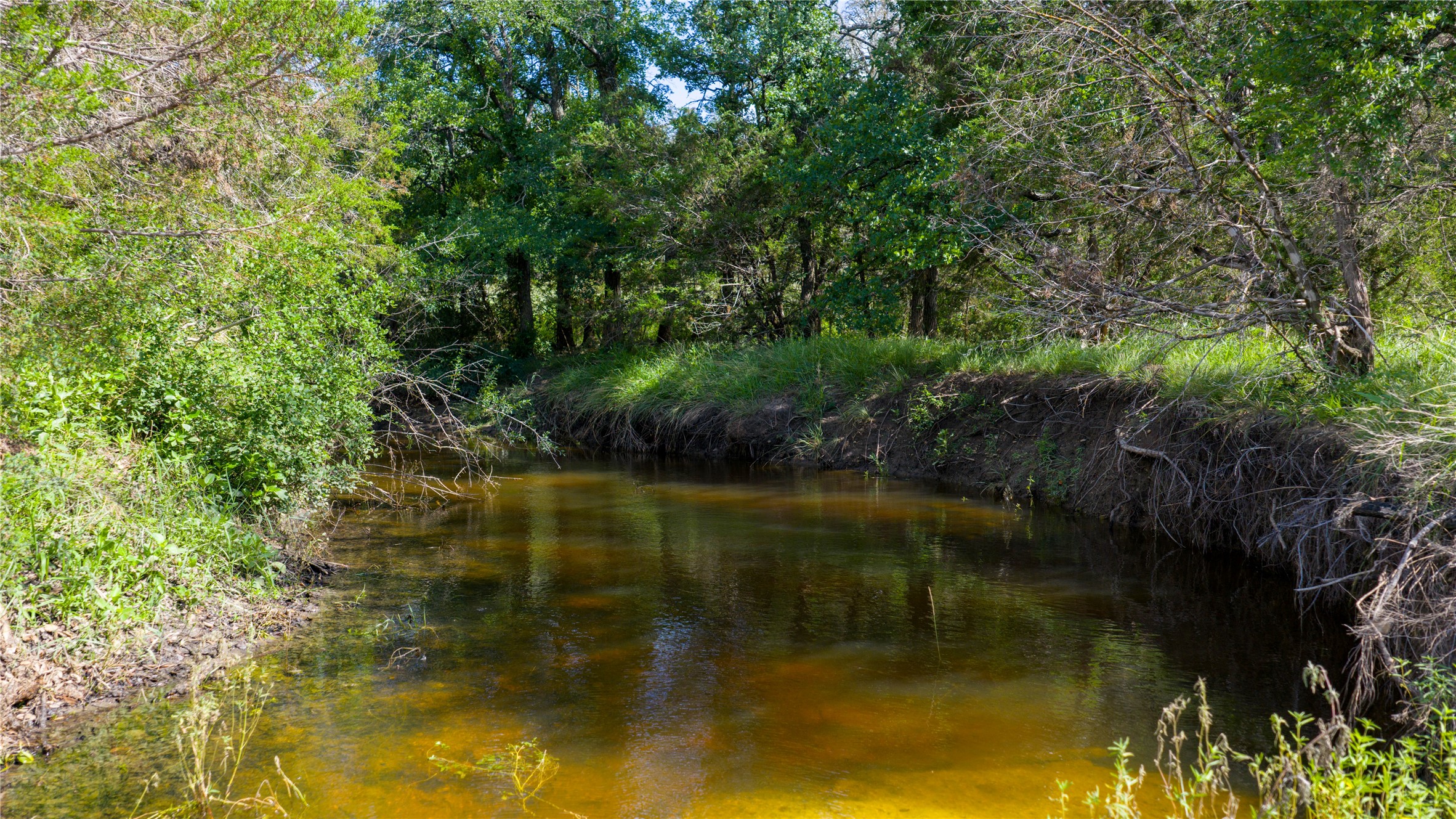 0 County Road 180 Road Purmela, TX 76566 - Photo 10 of 24 a view of lake