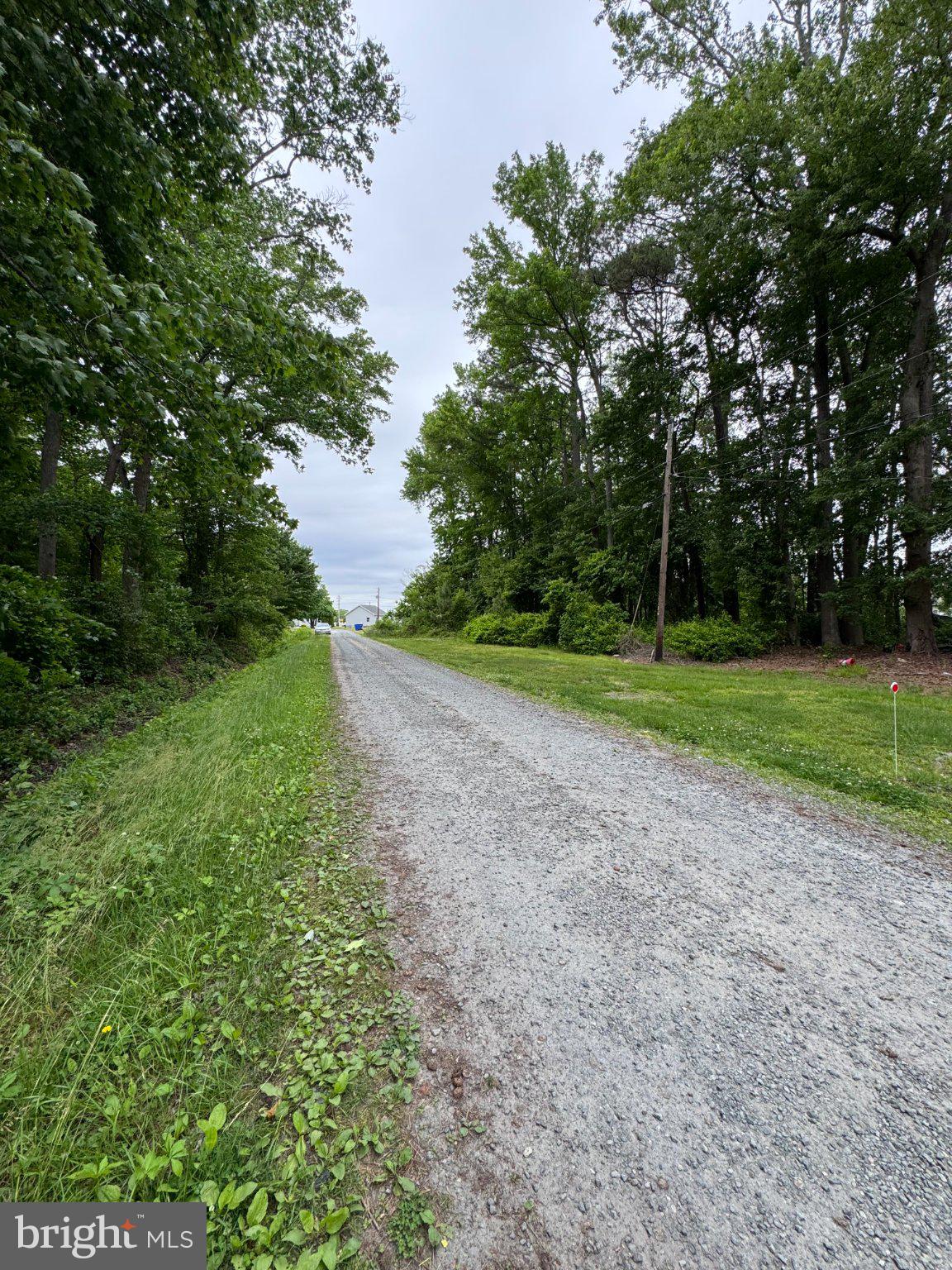 36129 New Marydels Road Frankford, DE 19945 - Photo 3 of 11 Serene gravel path through greenery.