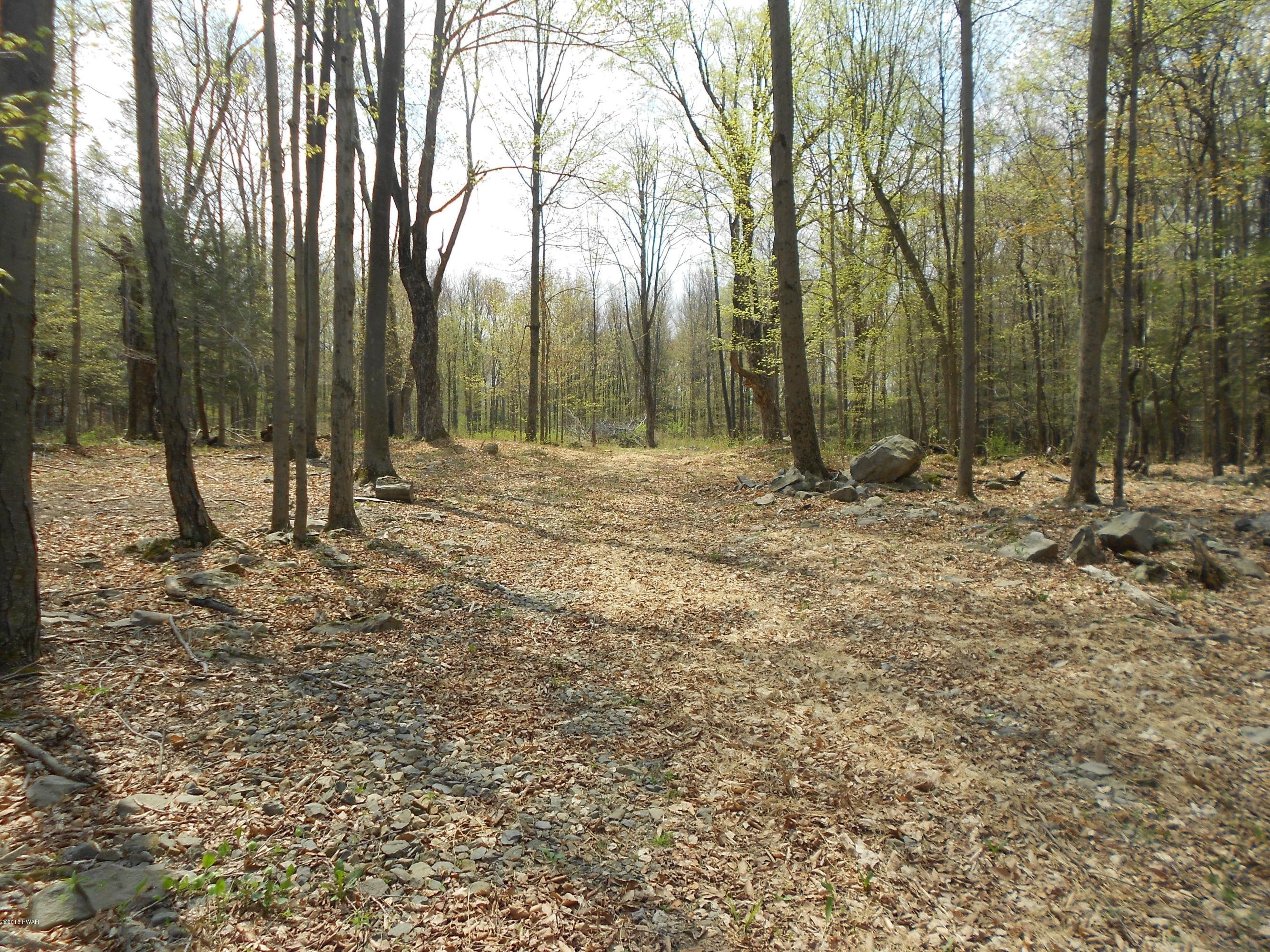 4 Stony Lonesome Road Lake Ariel, PA 18436 - Photo 3 of 12