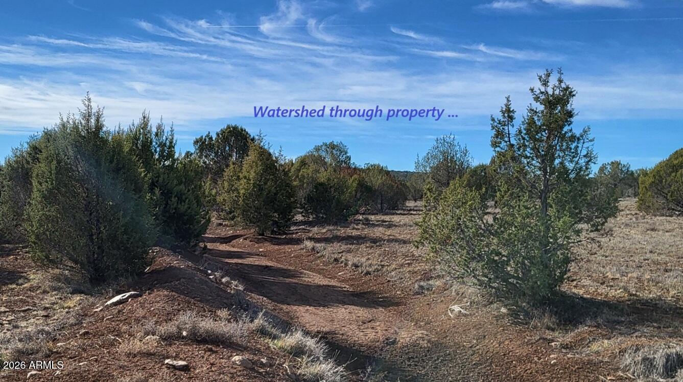 12700 Mad Man Mountain Road Williams, AZ 86046 - Photo 15 of 58 8746c010-b233-4cc0-819b-040c9a9bbde1