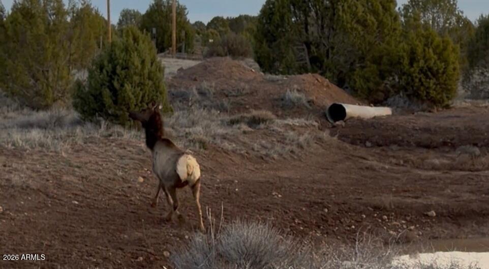 12700 Mad Man Mountain Road Williams, AZ 86046 - Photo 18 of 58 908bfe4d-993c-4555-b048-d79480009513