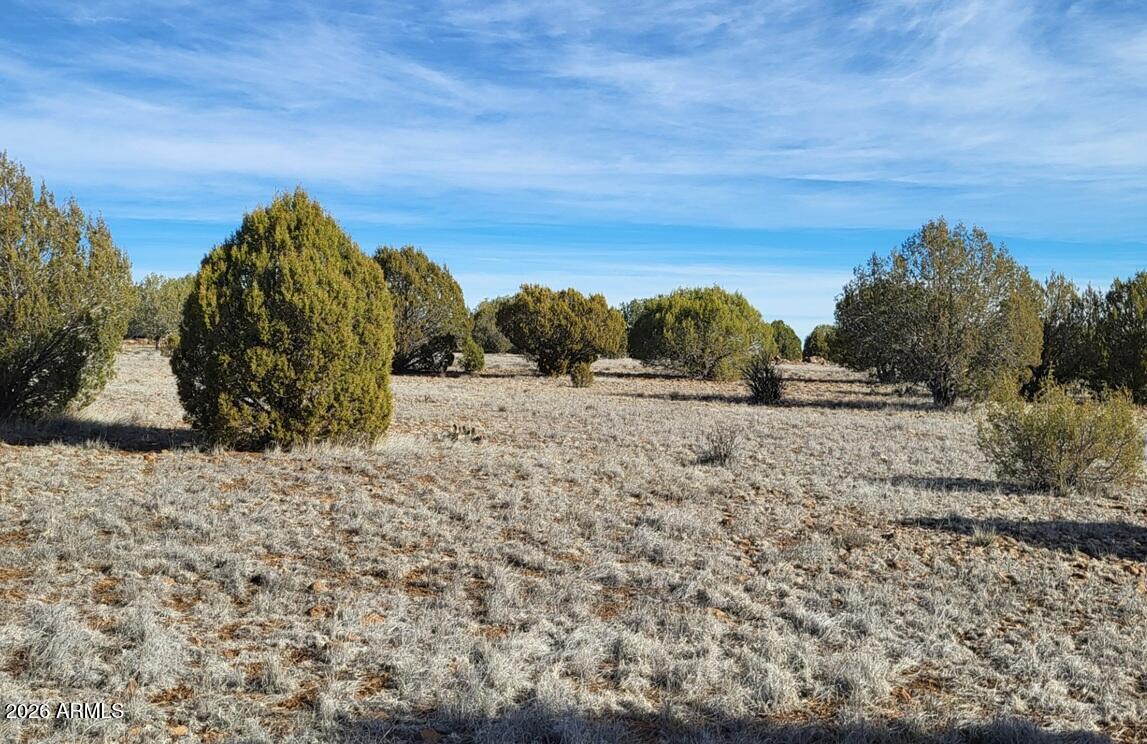 12700 Mad Man Mountain Road Williams, AZ 86046 - Photo 39 of 58 62cd118a-46ad-4dbc-9445-fa91ea06f0cd