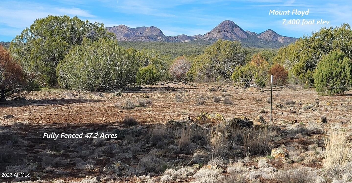 12700 Mad Man Mountain Road Williams, AZ 86046 - Photo 40 of 58 71d73ce6-223d-4119-b4f6-16a4555dbcae