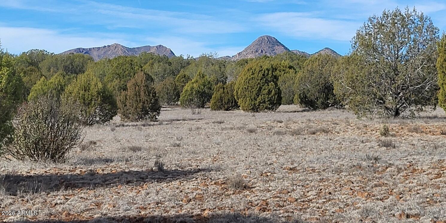 12700 Mad Man Mountain Road Williams, AZ 86046 - Photo 56 of 58 e07f93b7-dc14-4529-8fed-a0d112f6855d