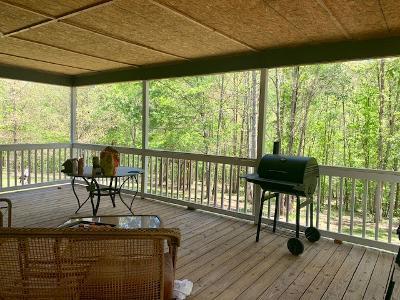 141 Willow Springs Road Ten Mile, TN 37880 - Photo 13 of 39 Back Porch 2