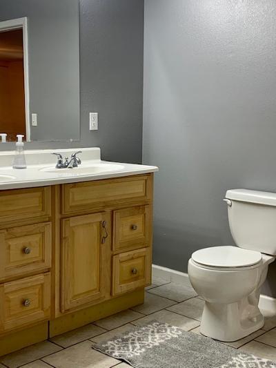 141 Willow Springs Road Ten Mile, TN 37880 - Photo 21 of 39 Master Bath