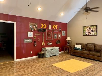 141 Willow Springs Road Ten Mile, TN 37880 - Photo 34 of 39 living room