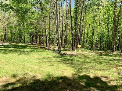 141 Willow Springs Road Ten Mile, TN 37880 - Photo 5 of 39 6
