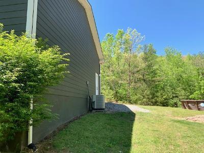 141 Willow Springs Road Ten Mile, TN 37880 - Photo 7 of 39 8