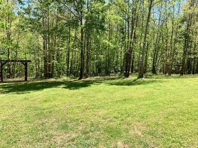 141 Willow Springs Road Ten Mile, TN 37880 - Photo 10 of 39 11