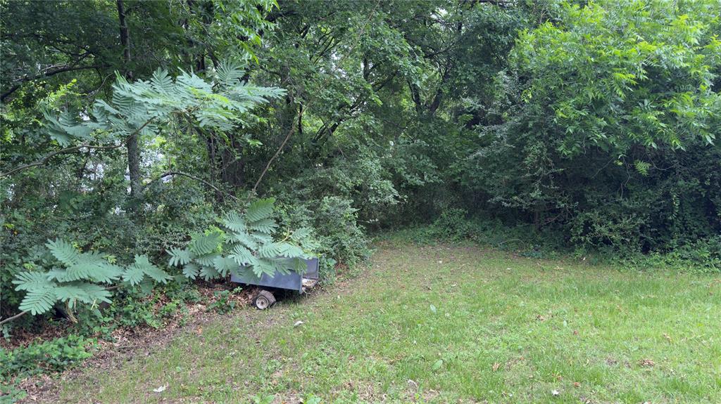 415 Meadowlark Trail Springtown, TX 76082 - Photo 31 of 35 a view of a lush green forest