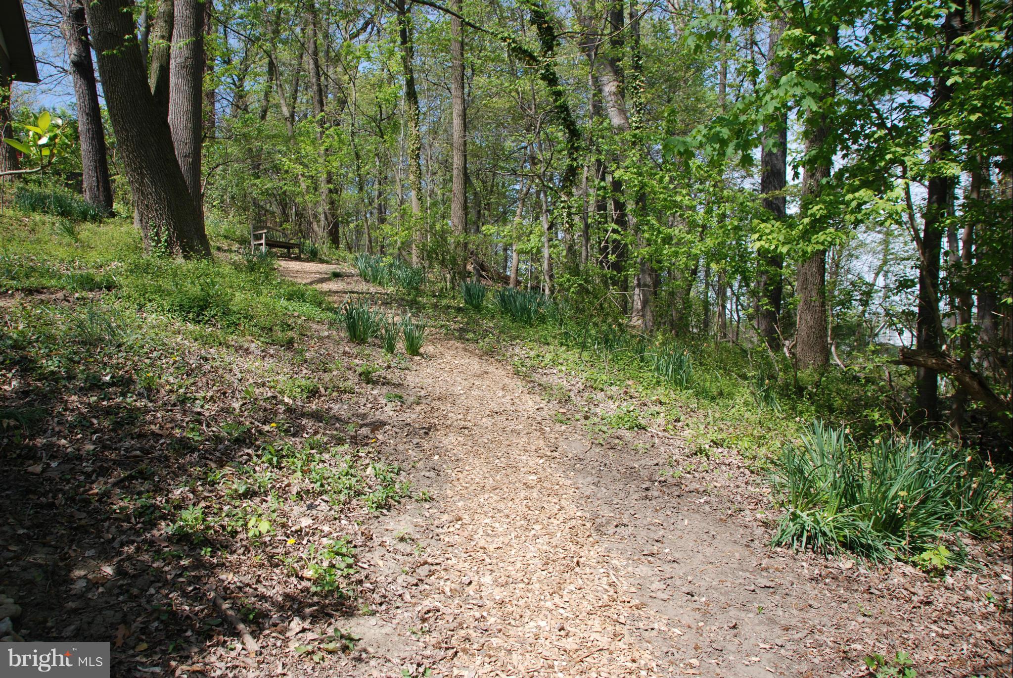 107 Cross Keys Road, Unit R107E Baltimore, MD 21210 - Photo 13 of 14 a big yard with lots of green space and deers
