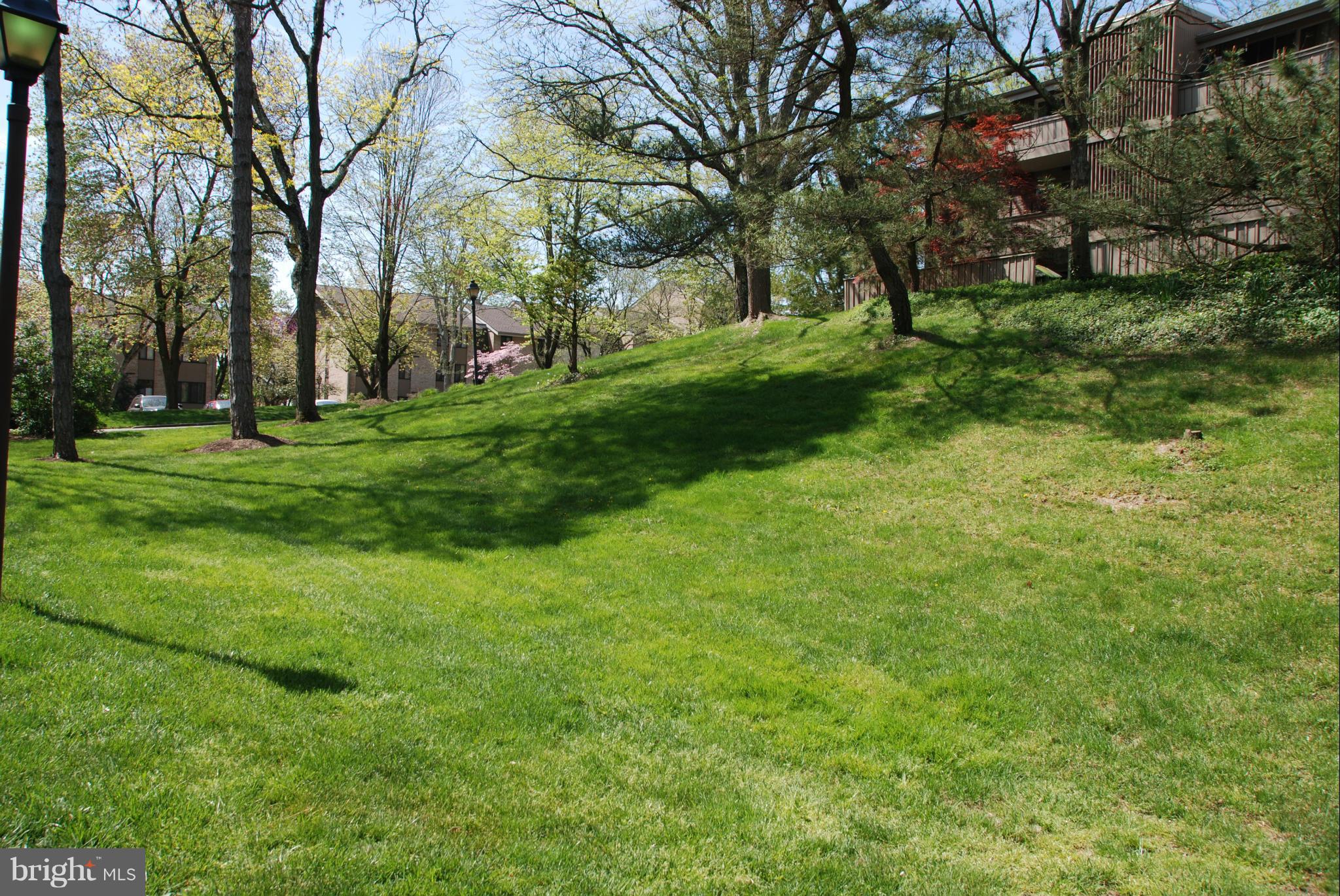 107 Cross Keys Road, Unit R107E Baltimore, MD 21210 - Photo 14 of 14 a view of a field with large trees