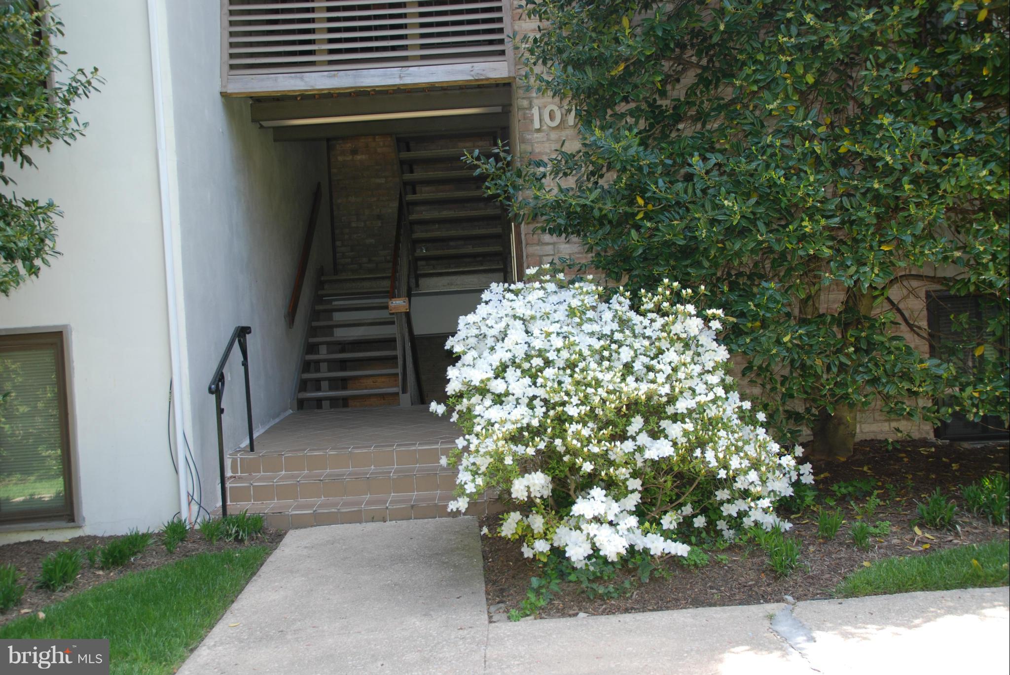 107 Cross Keys Road, Unit R107E Baltimore, MD 21210 - Photo 3 of 14 a backyard of a house with lots of green space
