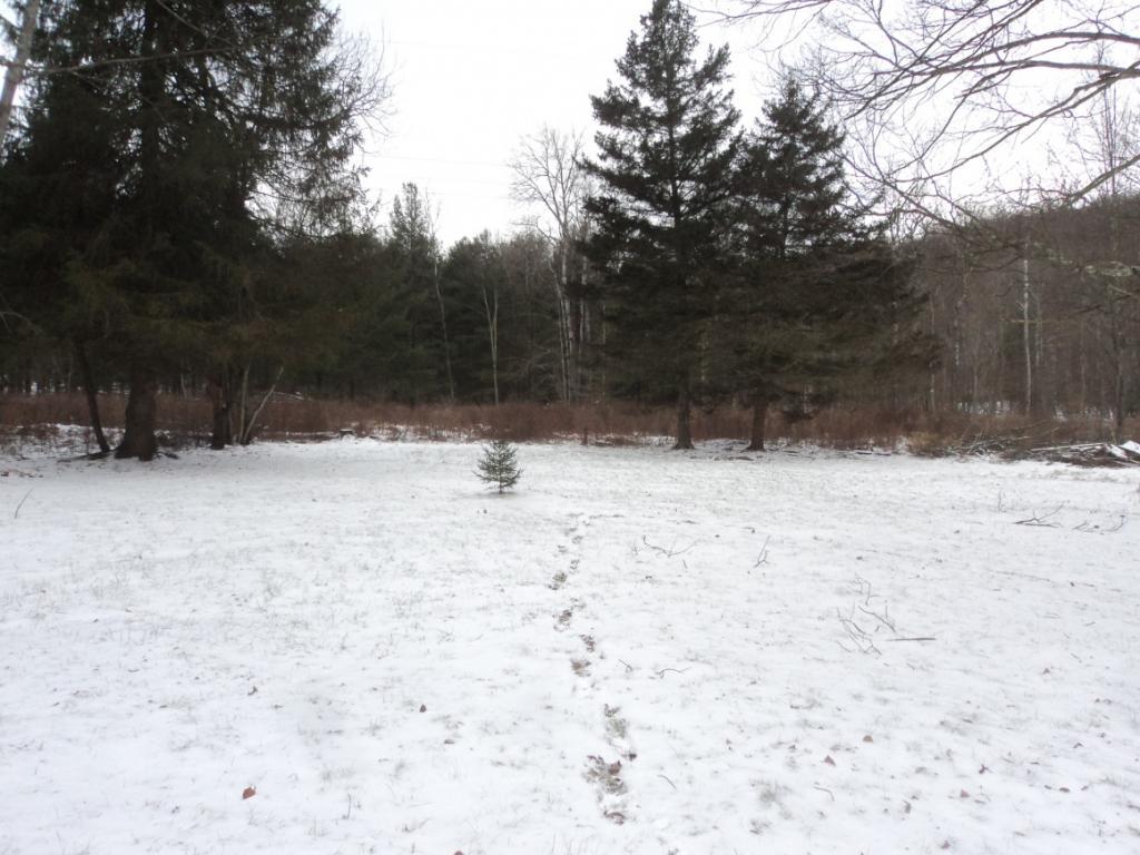 365 Mitchell Road Montrose, PA 18801 - Photo 5 of 12