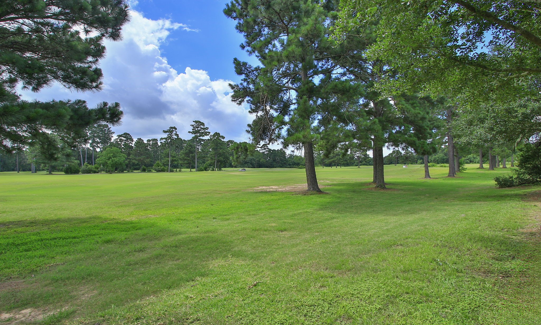 20110 Stormy Pine Lane Spring, TX 77379 - Photo 35 of 44 Set against the pristine greens of the course, this property captures the essence of refined, resort-style living from your own backyard.