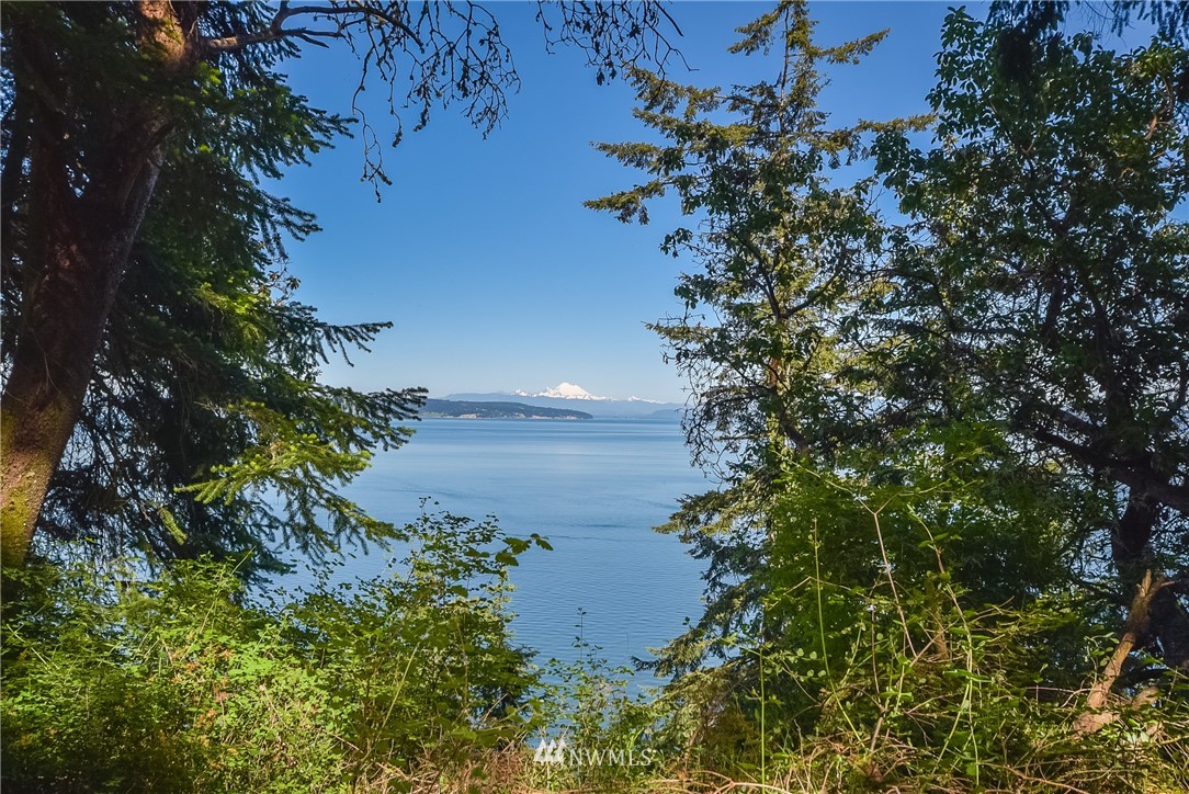 166 Rhodena Coupeville, WA 98239 - Photo 3 of 13 Gallery Image 3
