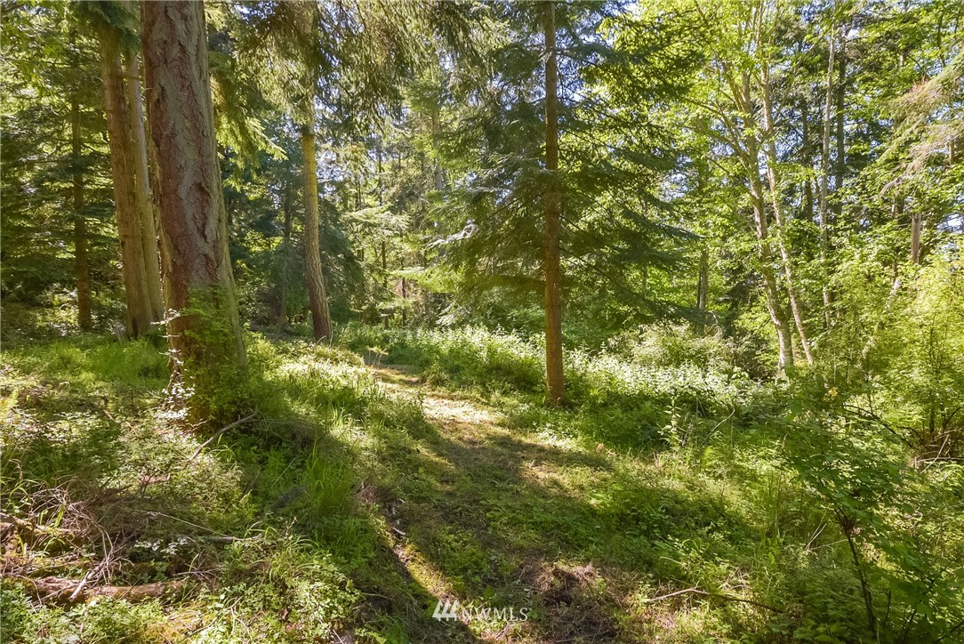 166 Rhodena Coupeville, WA 98239 - Photo 4 of 13 Gallery Image 4