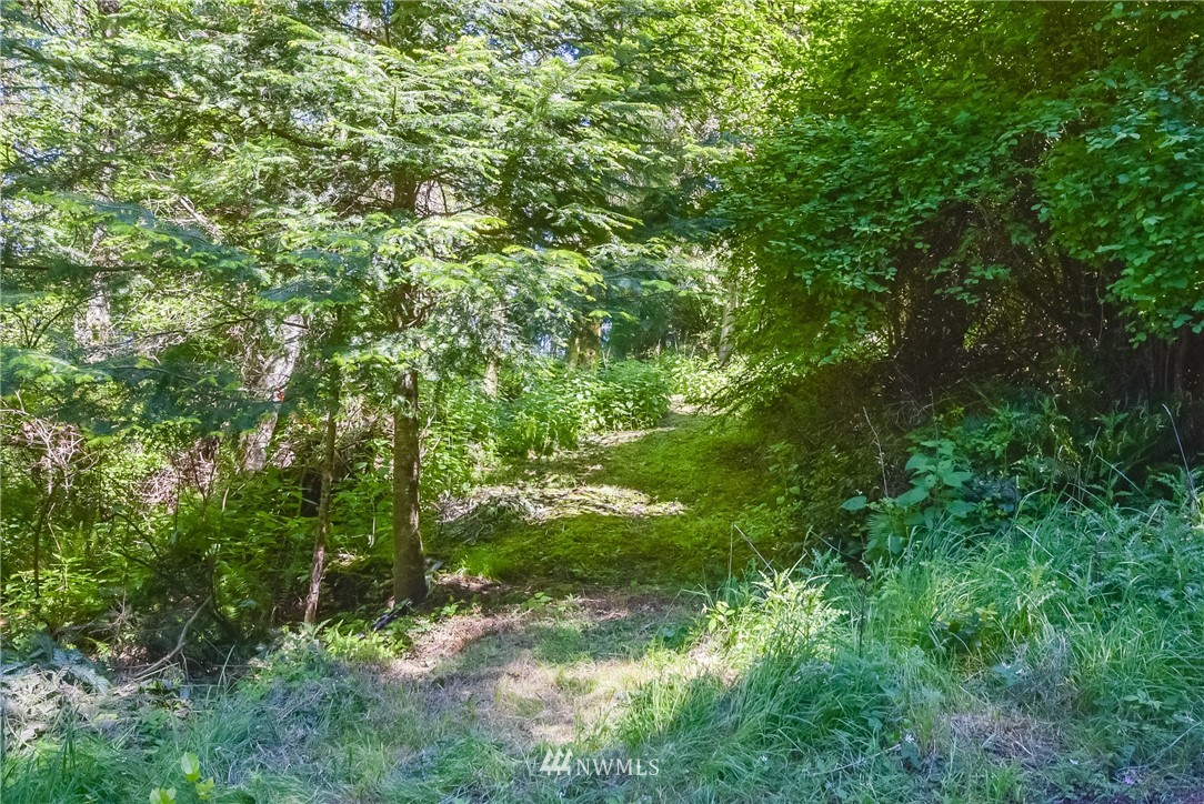 166 Rhodena Coupeville, WA 98239 - Photo 7 of 13 Gallery Image 7