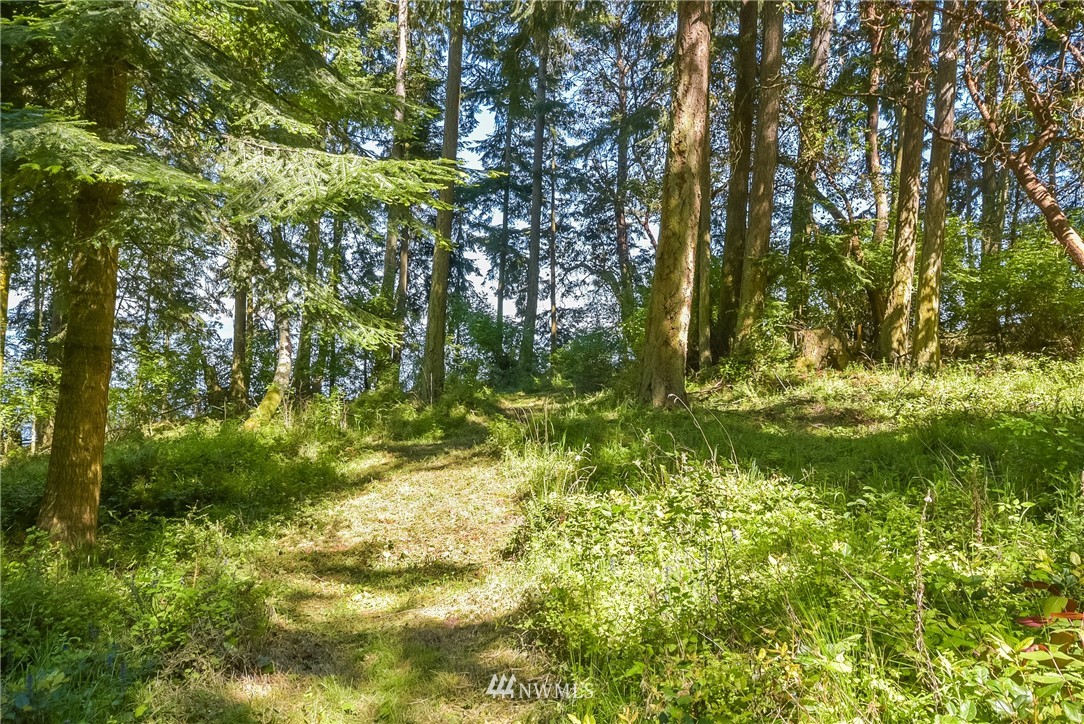 166 Rhodena Coupeville, WA 98239 - Photo 8 of 13 Gallery Image 8