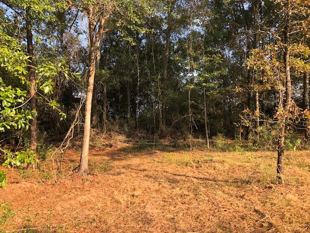 65-ac Straughn School Road Andalusia, AL 36421 - Photo 24 of 47 Gallery Image 24