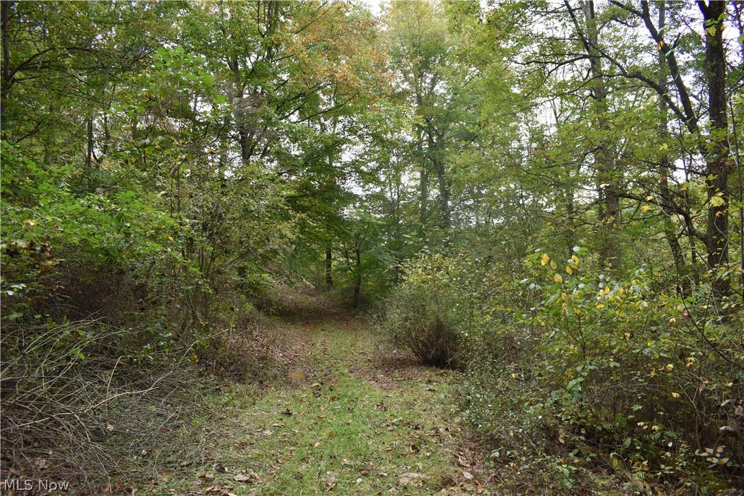 Burkhart Road Tippecanoe, OH 44699 - Photo 5 of 24 Gallery Image 5
