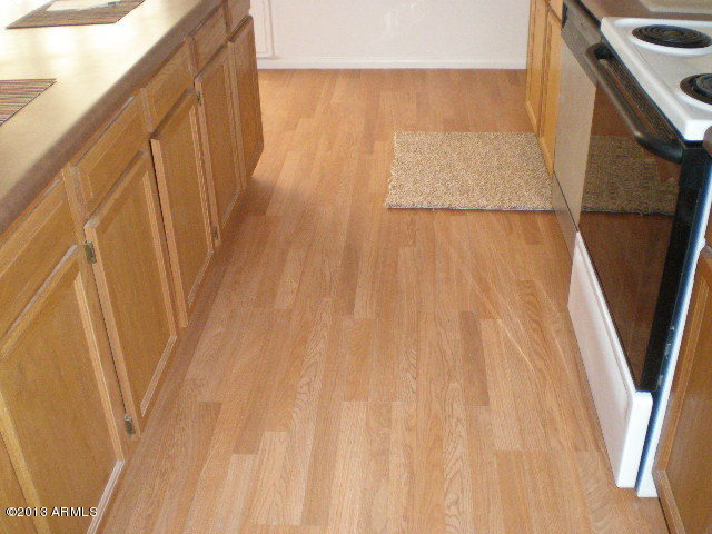 3483 East Presidio Road Phoenix, AZ 85032 - Photo 3 of 19 P1010479