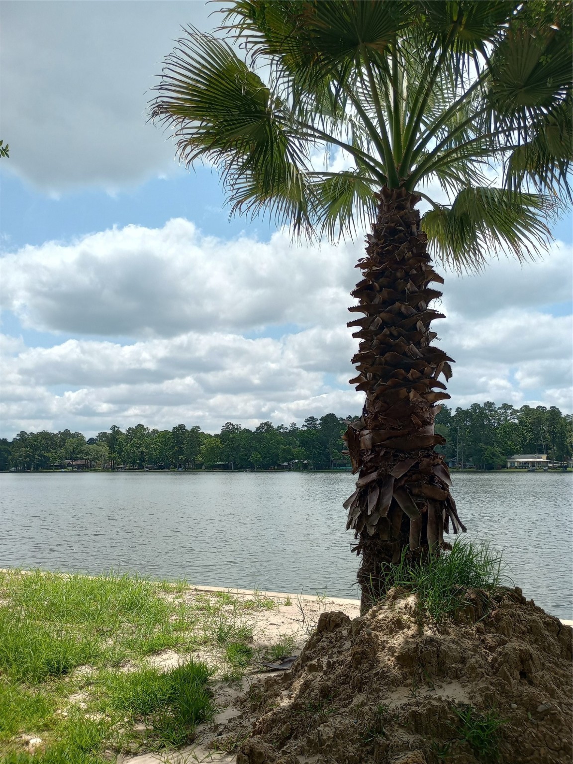 13545 Northshore Loop Conroe, TX 77304 - Photo 9 of 44 Gorgeous Lakeview's.