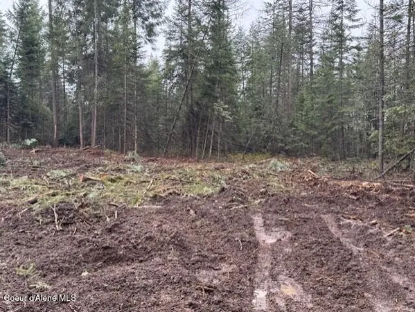 $319,000 | Nka Nka Abundant Life Court, Athol, ID 83801
