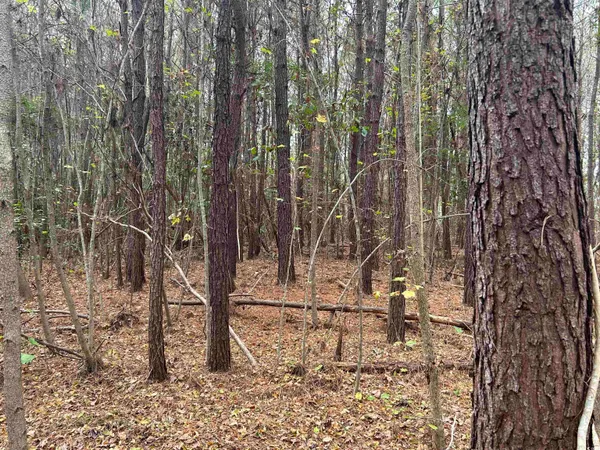 $1,250,000 | 746 Highway 746, Loris, SC 29569