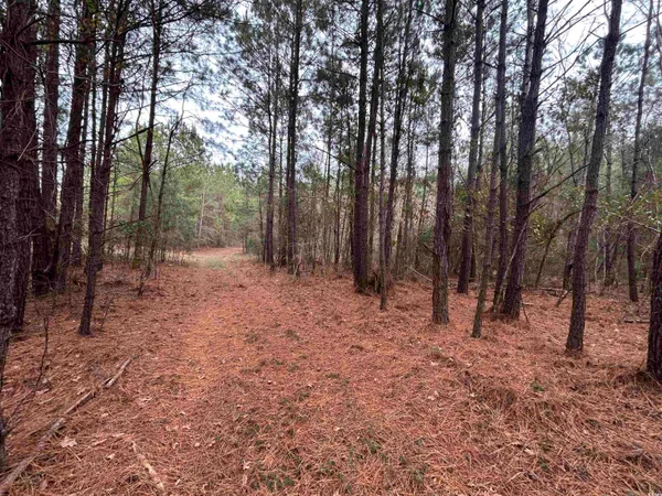 $1,250,000 | 746 Highway 746, Loris, SC 29569