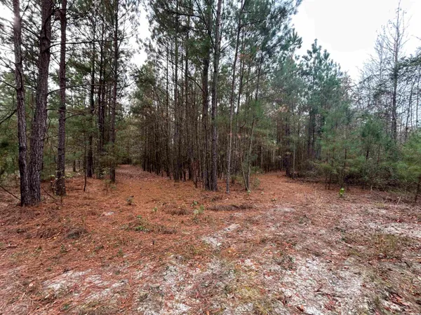 $1,250,000 | 746 Highway 746, Loris, SC 29569