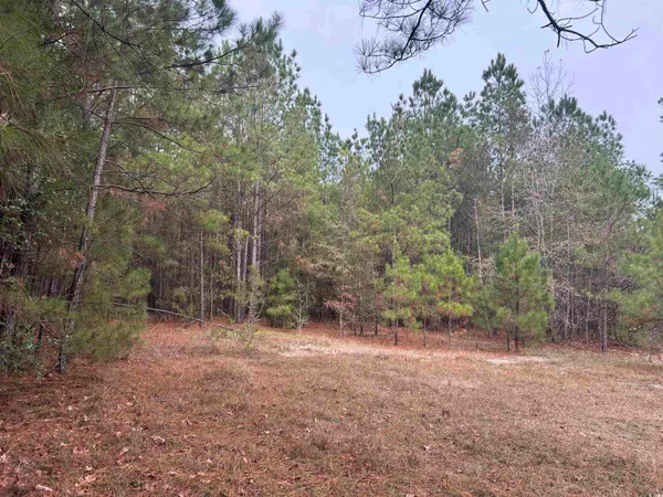 $1,250,000 | 746 Highway 746, Loris, SC 29569