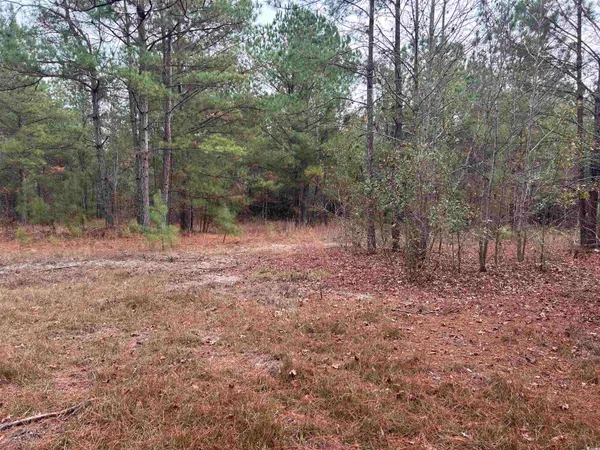 $1,250,000 | 746 Highway 746, Loris, SC 29569
