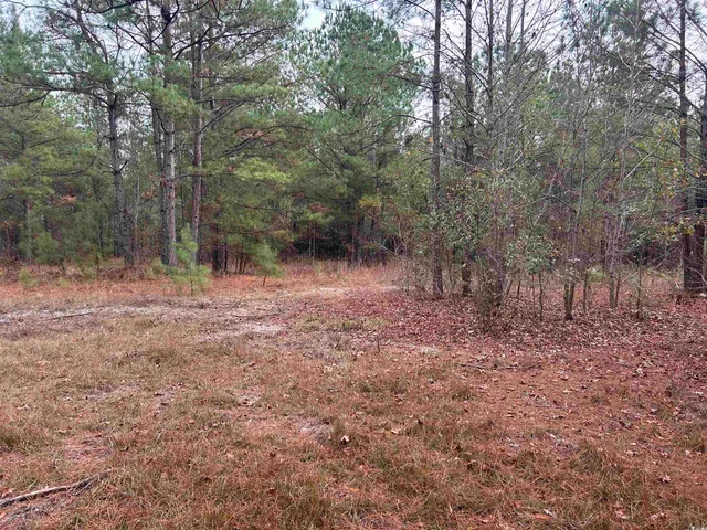$1,250,000 | 746 Highway 746, Loris, SC 29569