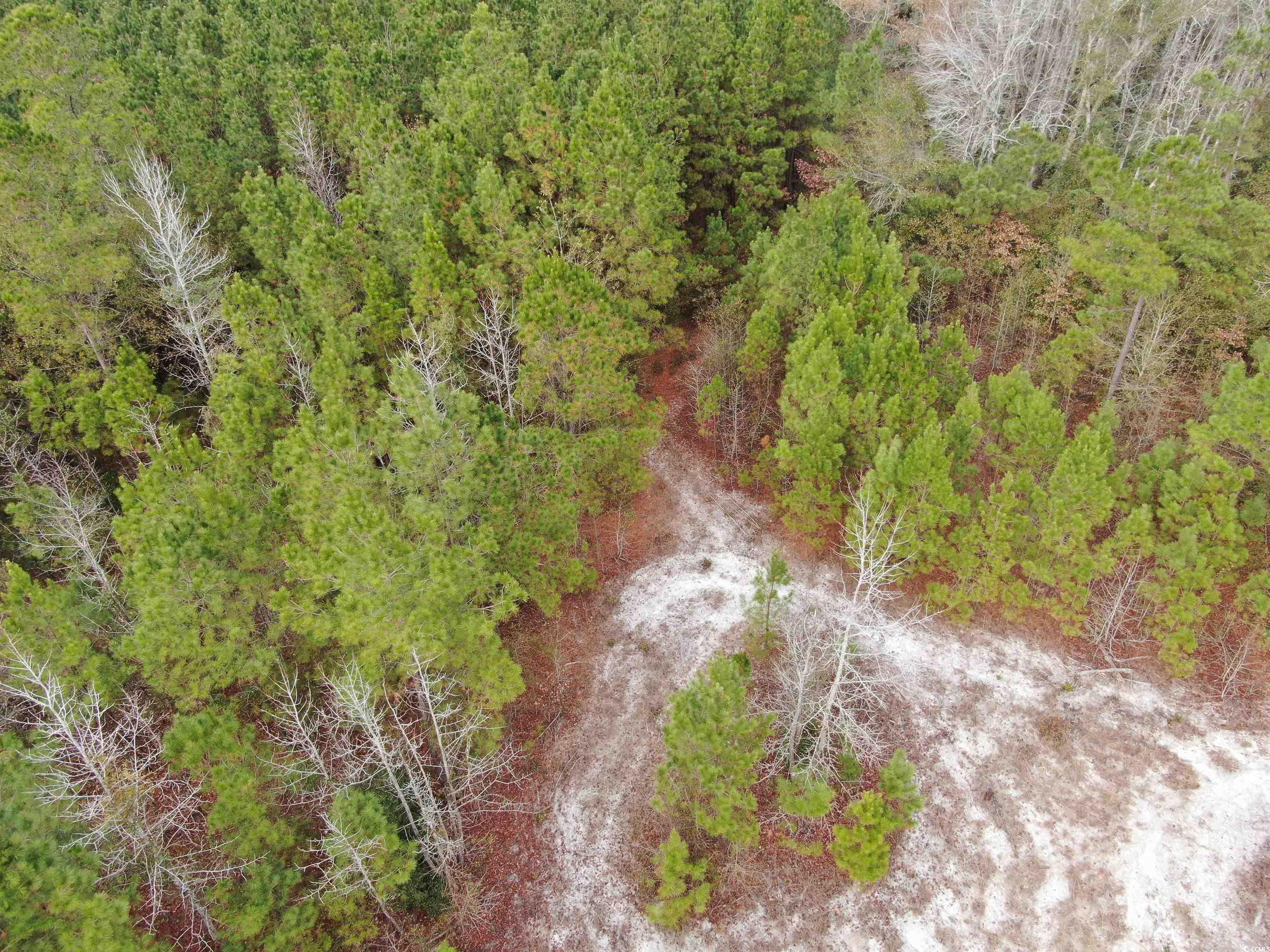 746 Highway 746 Loris, SC 29569 - Photo 23 of 26 Bird's eye view
