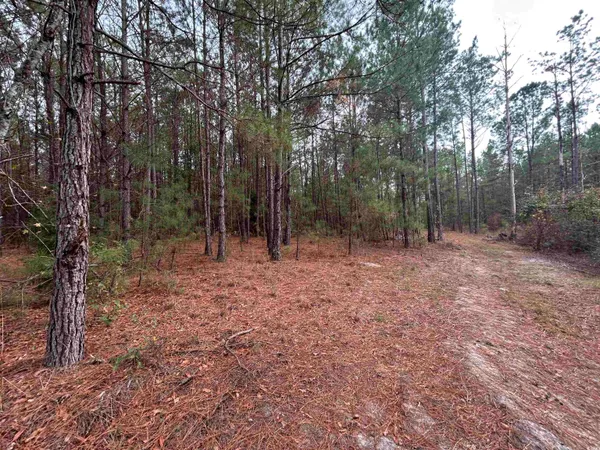$1,250,000 | 746 Highway 746, Loris, SC 29569