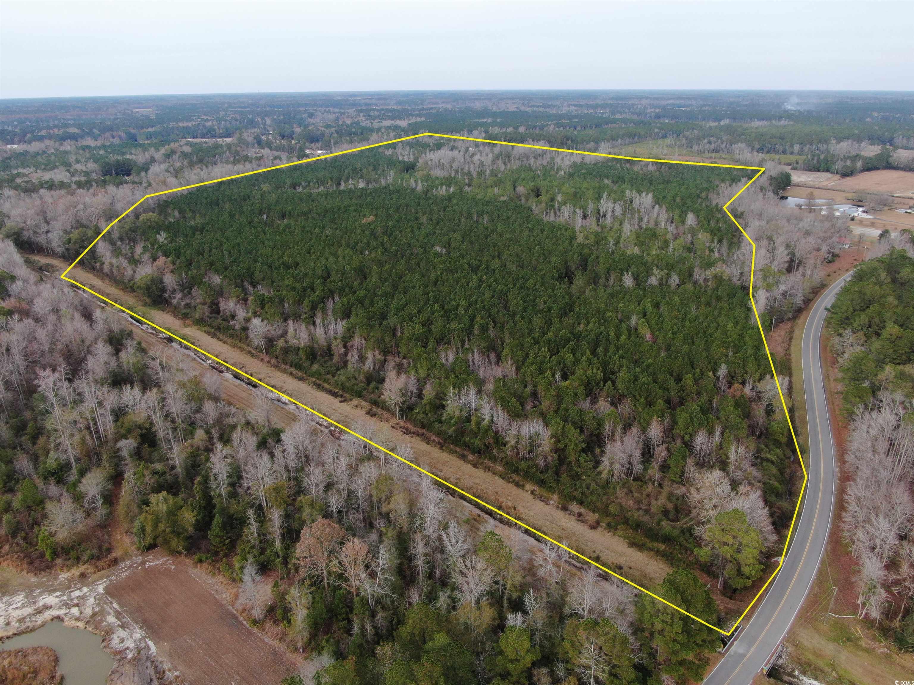 746 Highway 746 Loris, SC 29569 - Photo 3 of 26 Aerial overview of property's location featuring property boundaries highlighted and a forest