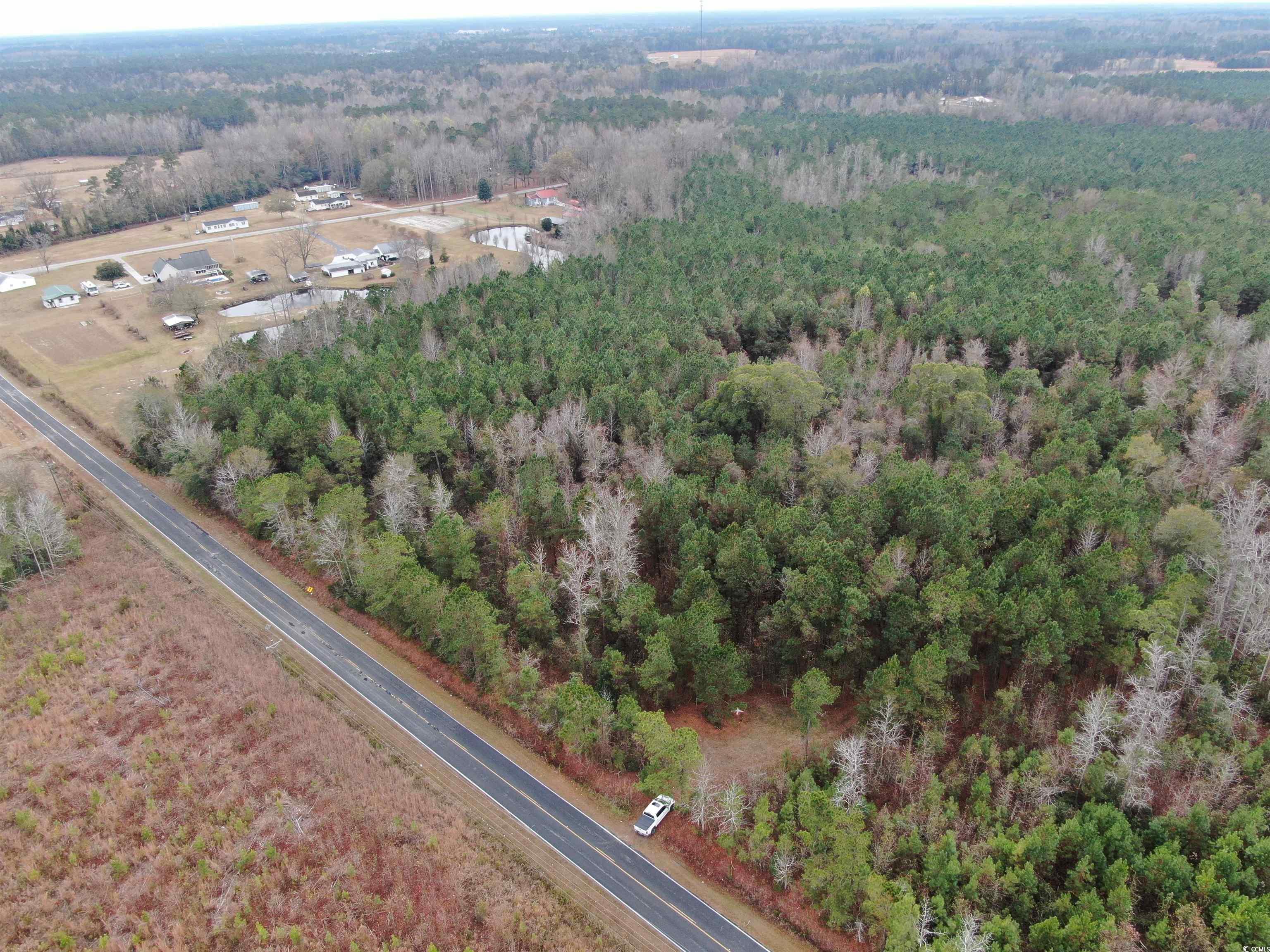 746 Highway 746 Loris, SC 29569 - Photo 6 of 26 Aerial overview of property's location featuring a forest