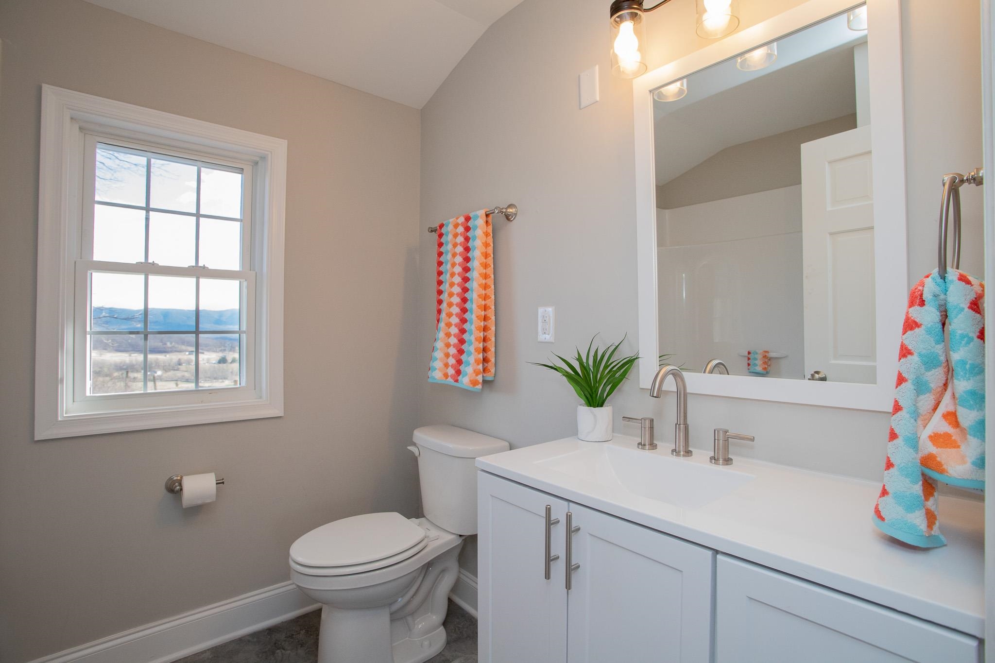776 Chestnut Ridge Road Staunton, VA 24401 - Photo 67 of 73 a bathroom with a sink a mirror a toilet and a window