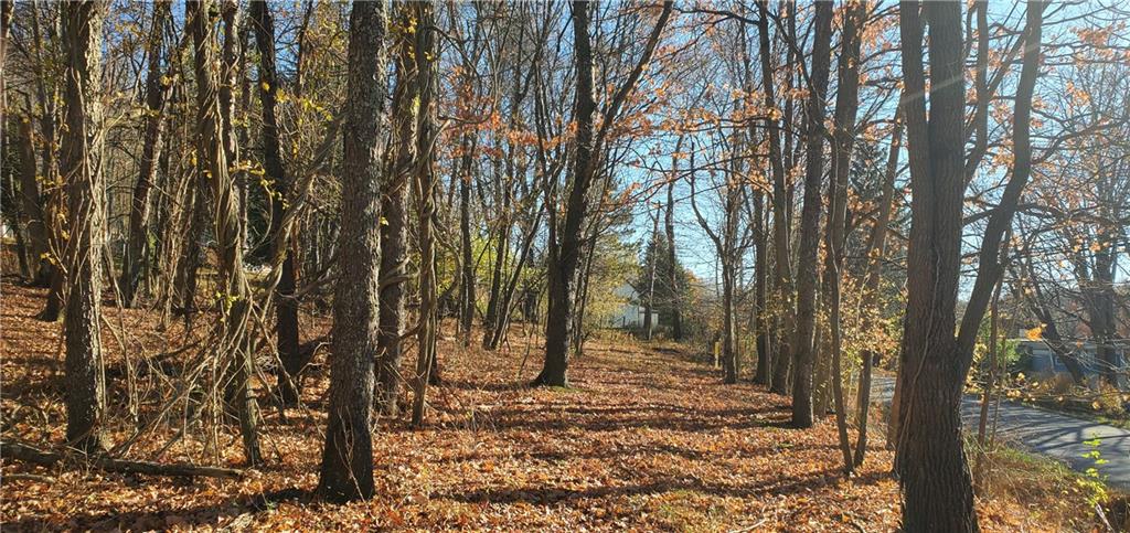 215 Bedillion Road Washington, PA 15301 - Photo 1 of 7 a view of a forest filled with trees