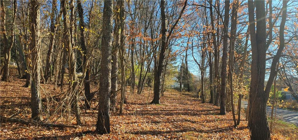 215 Bedillion Road Washington, PA 15301 - Photo 2 of 7 a view of a forest with trees