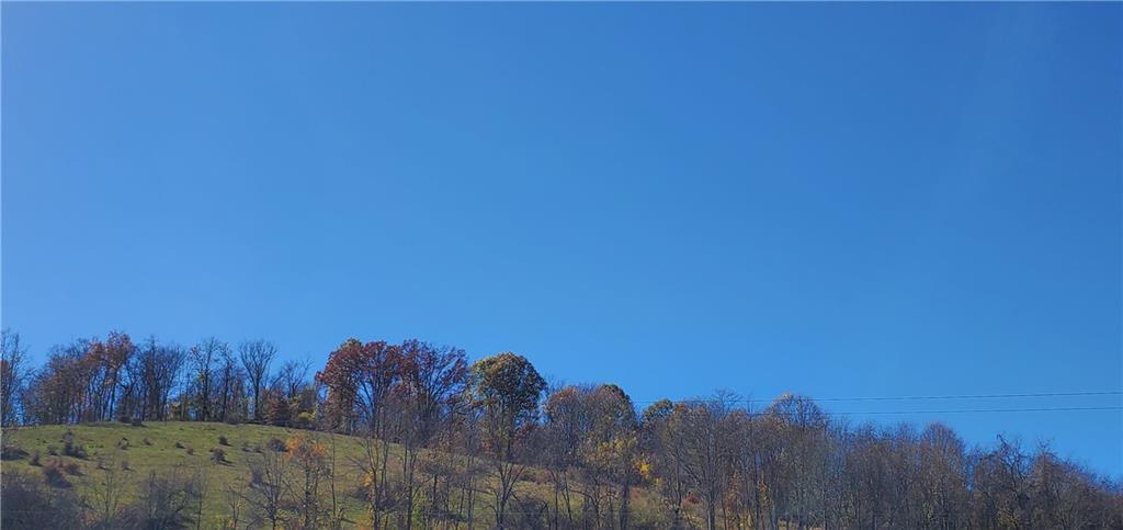 215 Bedillion Road Washington, PA 15301 - Photo 7 of 7 a view of a bunch of trees in a field