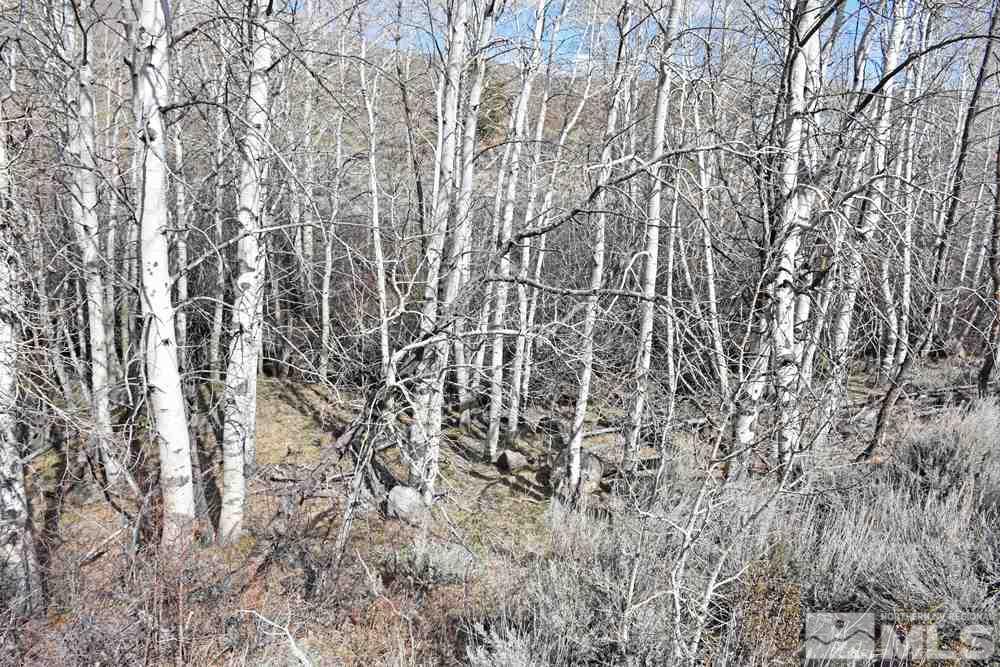 6025 Rock Farm Road, Unit 89511 Reno, NV 89511 - Photo 34 of 37 Photo 34
